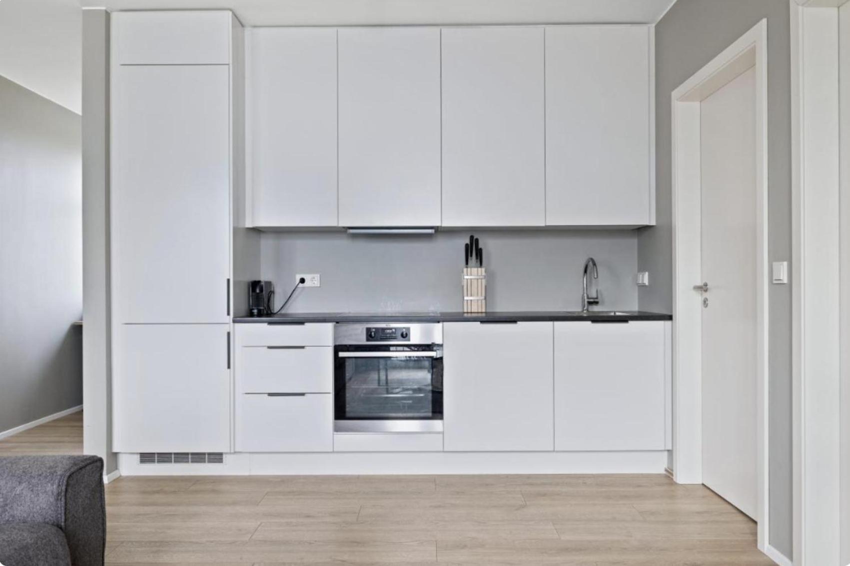 Cheerful Down Town Apartment Reykjavík Eksteriør billede