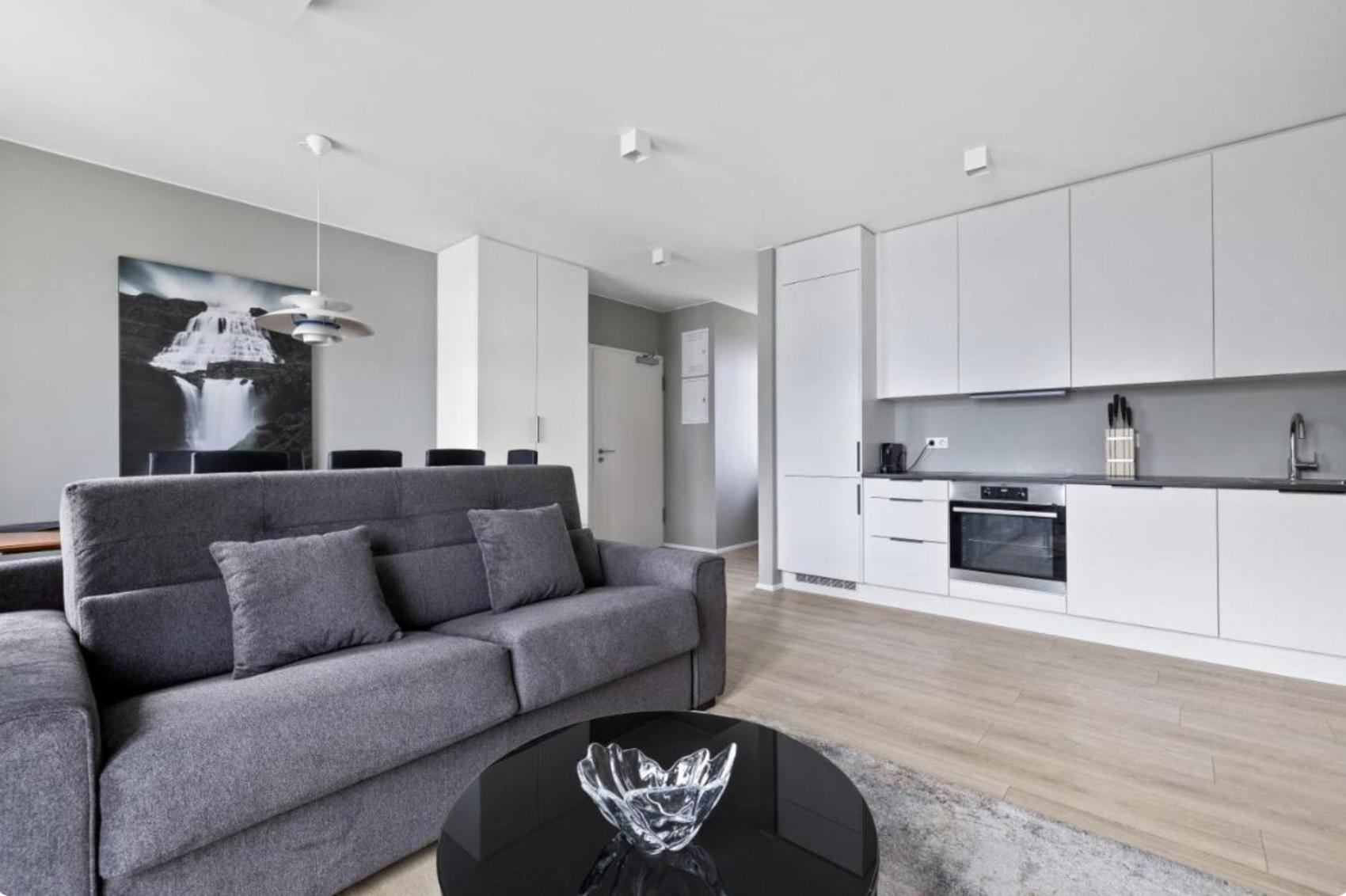 Cheerful Down Town Apartment Reykjavík Eksteriør billede