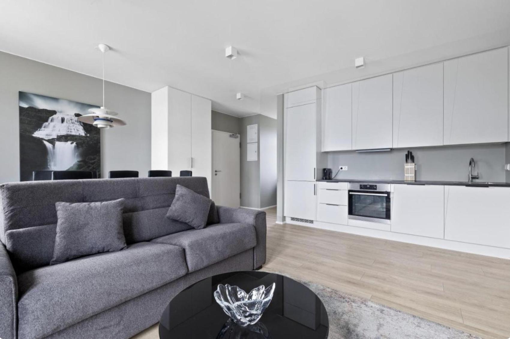 Cheerful Down Town Apartment Reykjavík Eksteriør billede